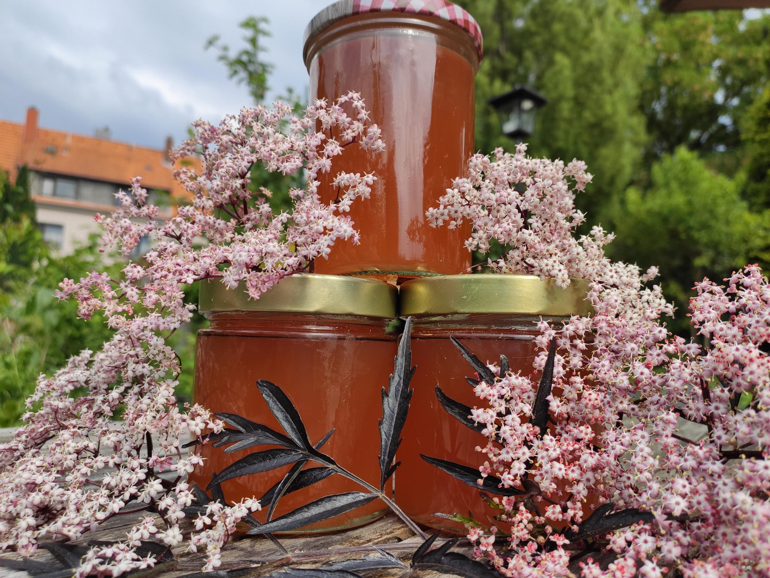 Holunderblüten-Apfelsaft-Gelee selbst herstellen - Garten im Ruhrpott